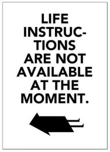 life instructions